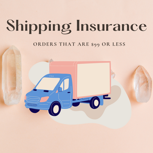 Add Shipping Insurance ($100 or less)
